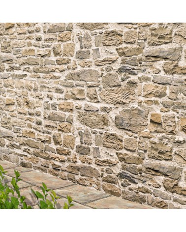 205. Old Drystone Wall