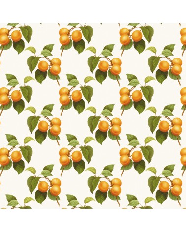 142. Vintage Apricot Fruit Wallpaper