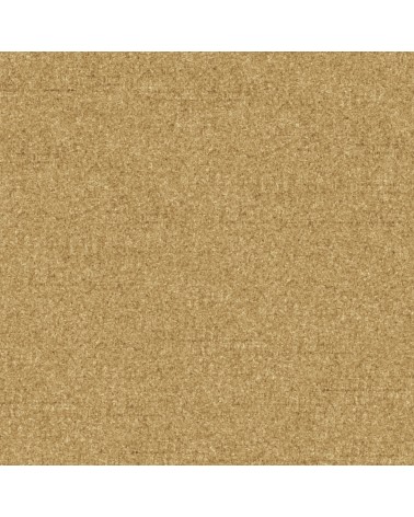 51. Brown Beige Carpet