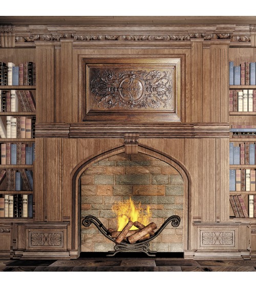 157. Study & Fireplace