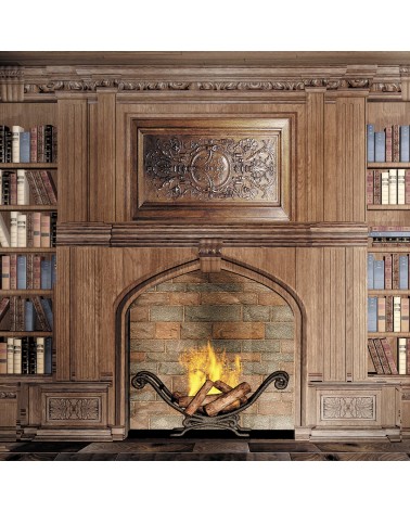 157. Study & Fireplace
