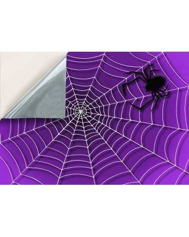 220. Halloween Web & Spider