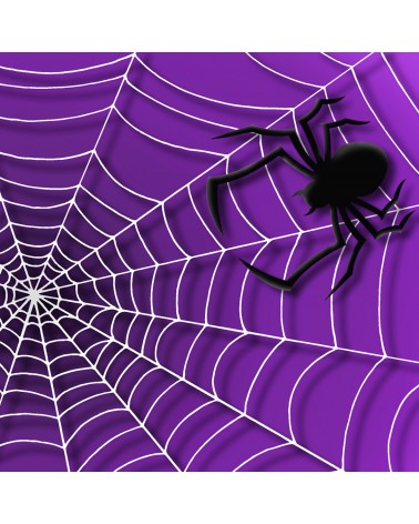 220. Halloween Web & Spider